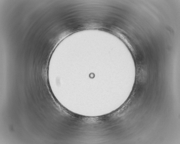 X0000115630810200912011439