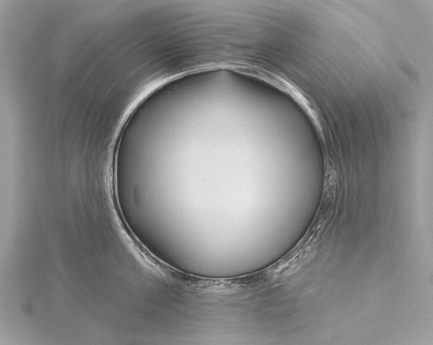 X0000115630811200912011439