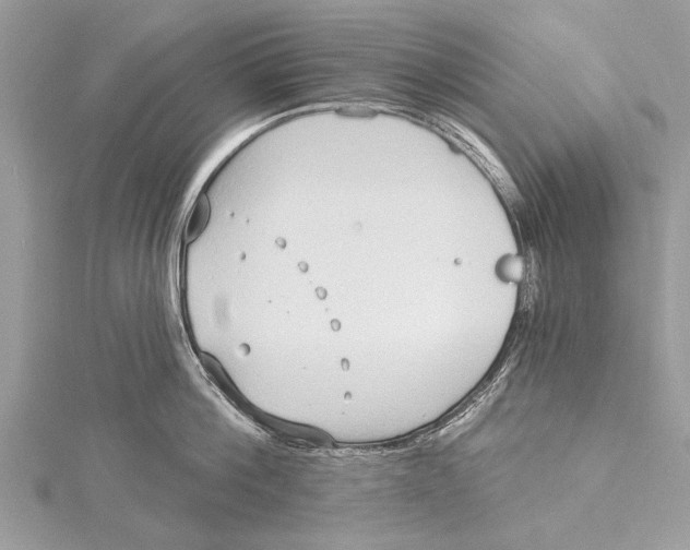 X0000115630812200912011439