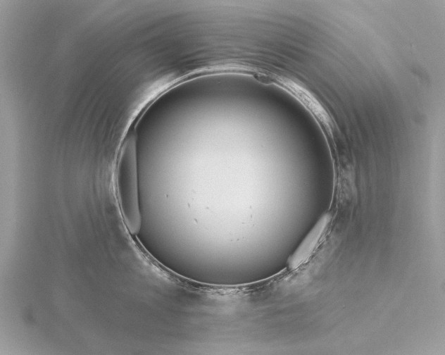 X0000115630813200912011439