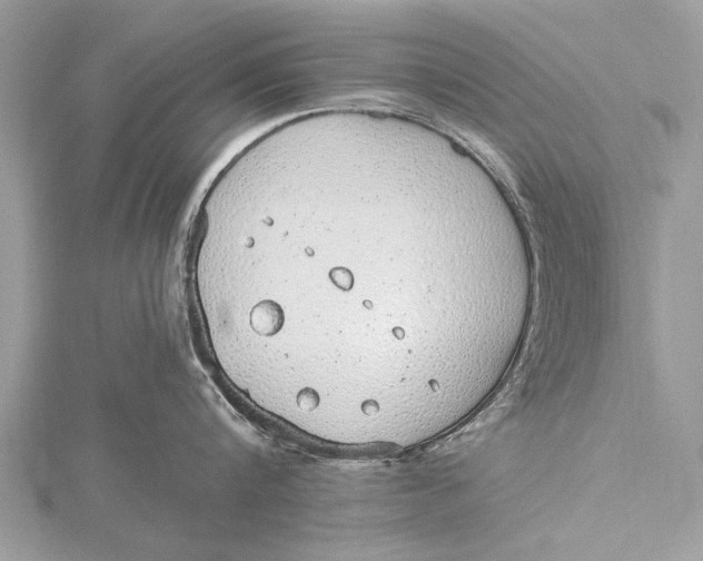 X0000115630816200912011439