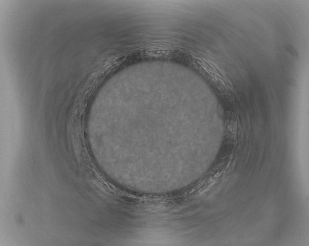 X0000115630817200912011438