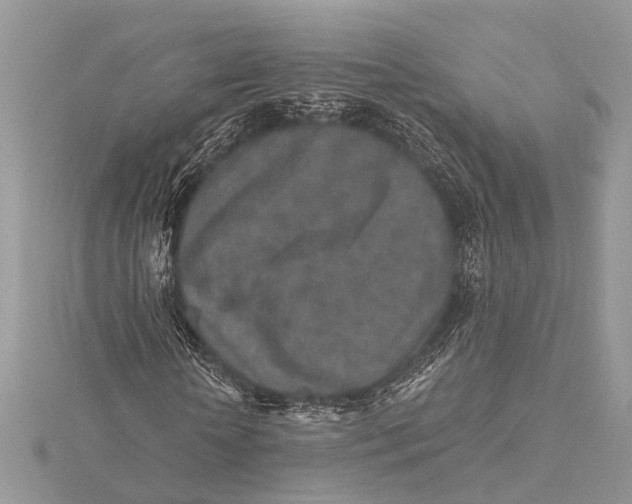 X0000115630818200912011438