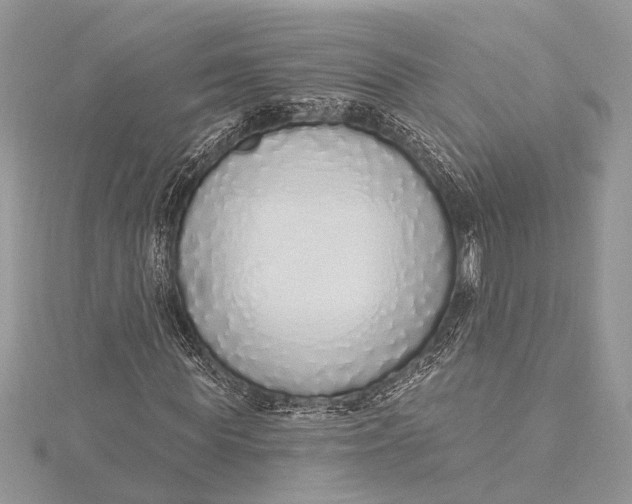 X0000115630819200912011439