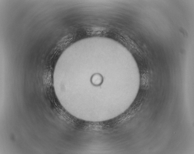 X0000115630820200912011439