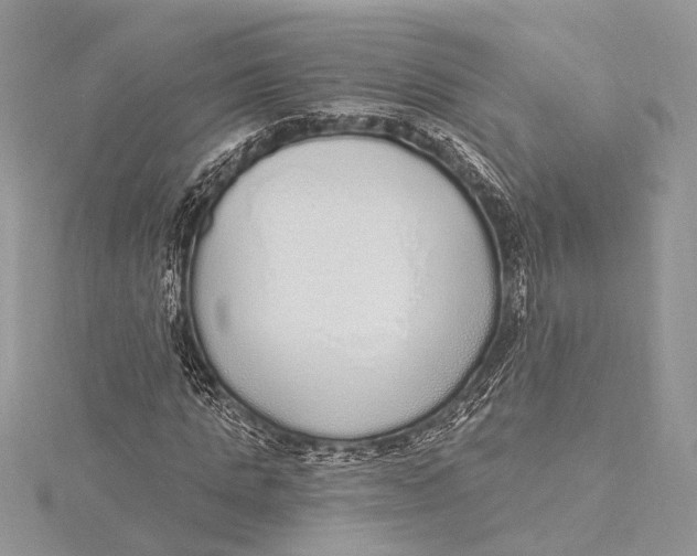 X0000115630821200912011439