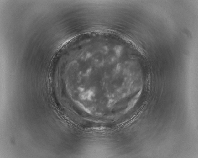 X0000115630822200912011439