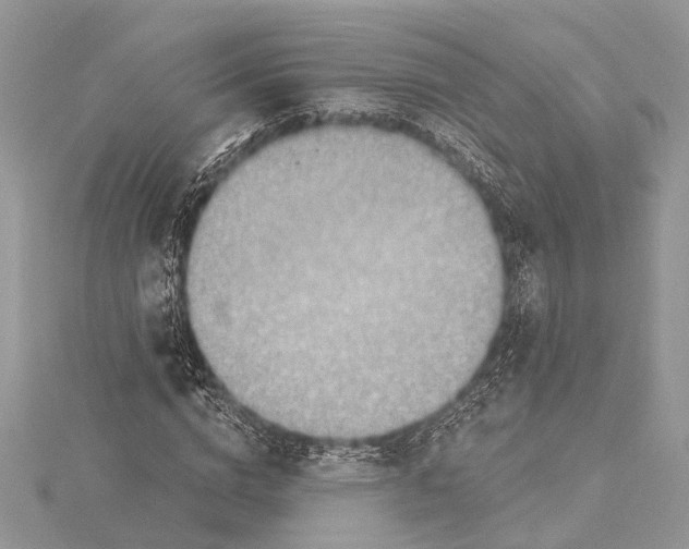 X0000115630824200912011439