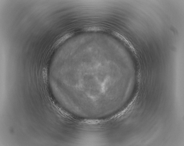 X0000115630825200912011439