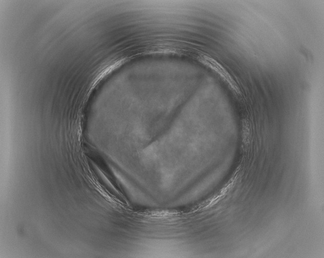 X0000115630826200912011439