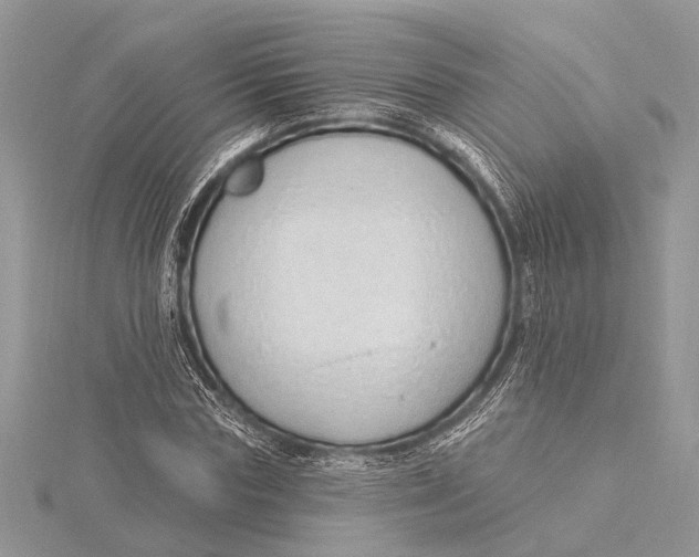 X0000115630827200912011439