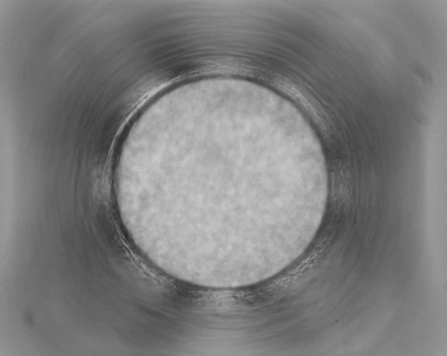 X0000115630828200912011439