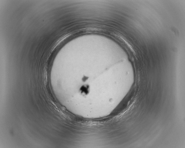 X0000115630829200912011439