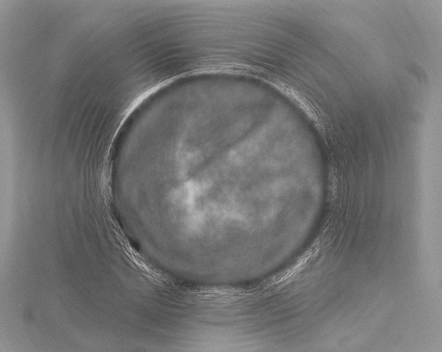 X0000115630830200912011439