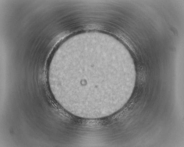 X0000115630832200912011439