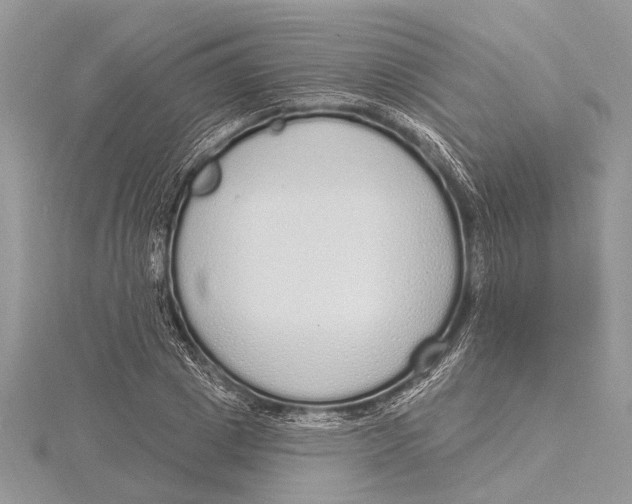 X0000115630833200912011439