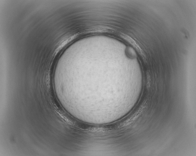 X0000115630834200912011439