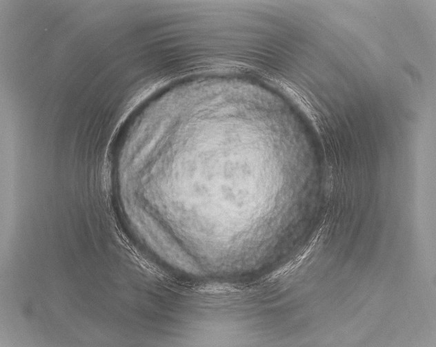 X0000115630835200912011439