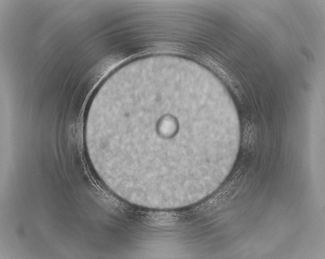 X0000115630836200912011439