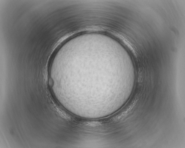 X0000115630837200912011439