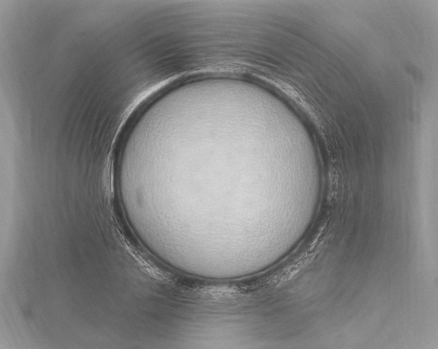 X0000115630838200912011439