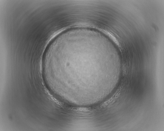 X0000115630839200912011439