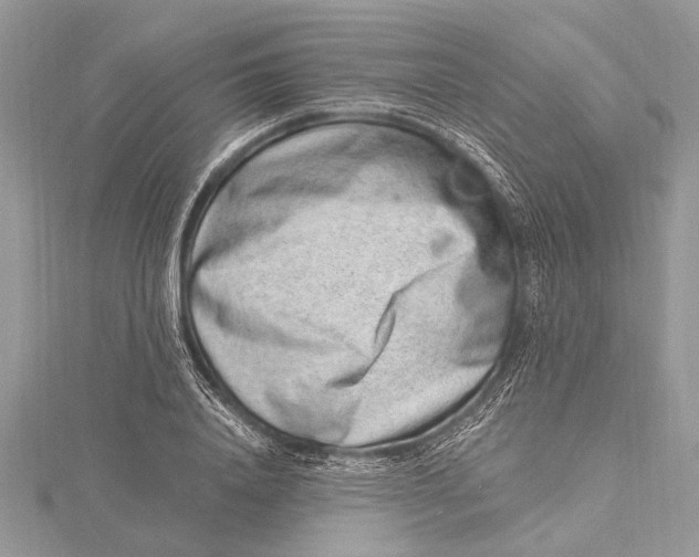 X0000115630840200912011439