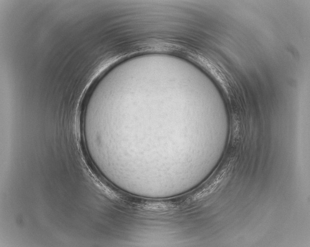 X0000115630843200912011439