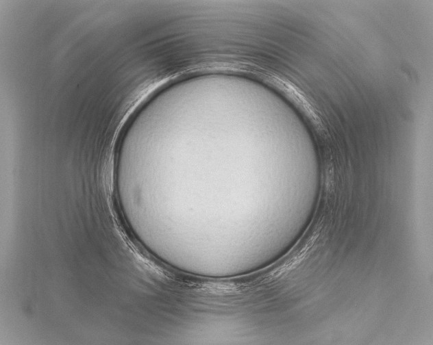 X0000115630844200912011439