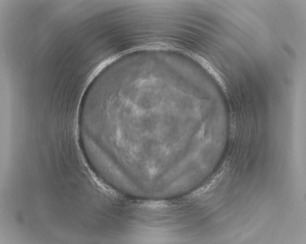 X0000115630845200912011439