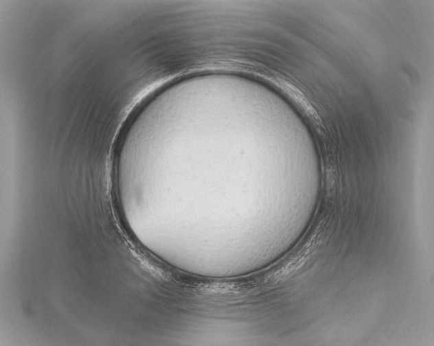 X0000115630846200912011439