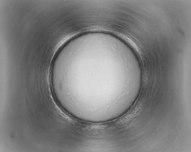 X0000115630847200912011439