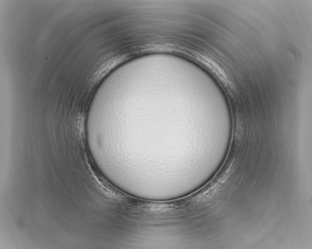 X0000115630849200912011439