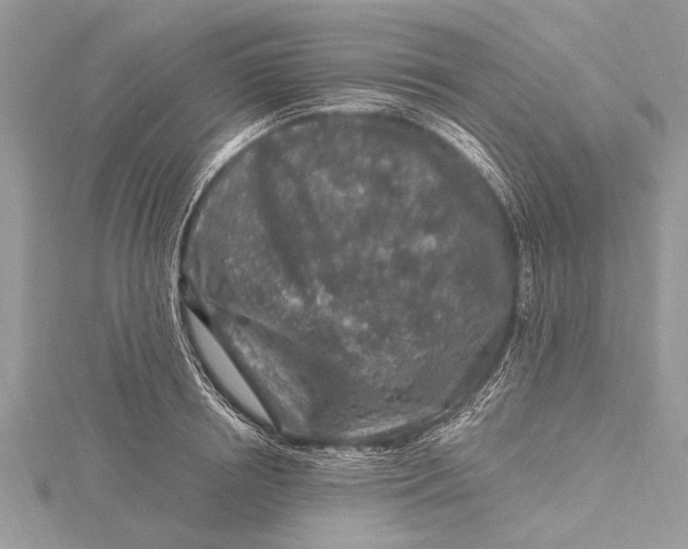 X0000115630850200912011439