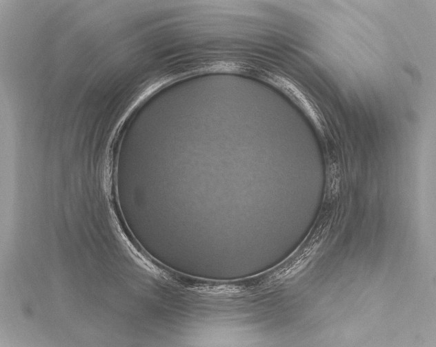 X0000115630851200912011439