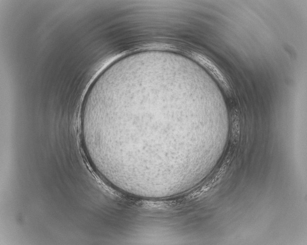 X0000115630852200912011439