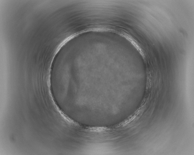 X0000115630853200912011439