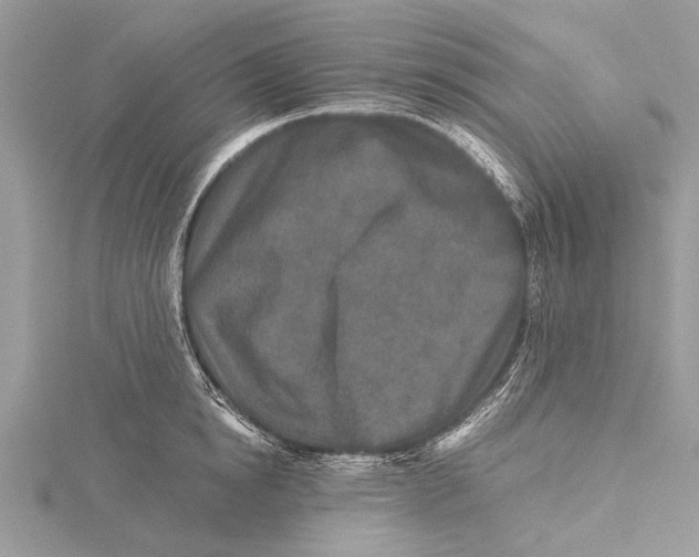 X0000115630854200912011439