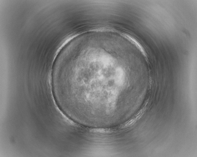 X0000115630855200912011439