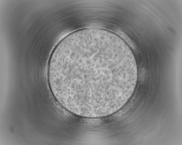 X0000115630856200912011439