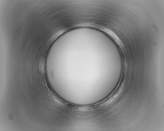 X0000115630857200912011439