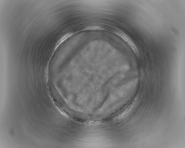 X0000115630858200912011439