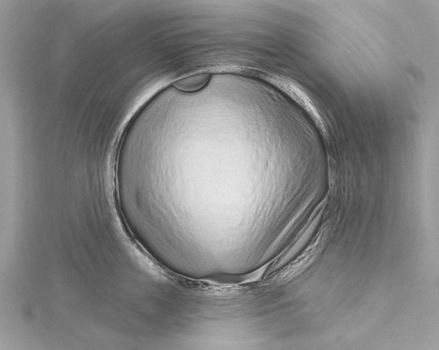 X0000115630859200912011439