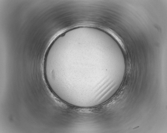 X0000115630861200912011439