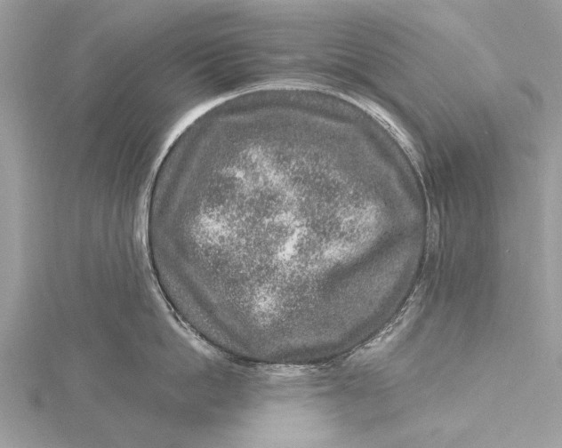 X0000115630862200912011439