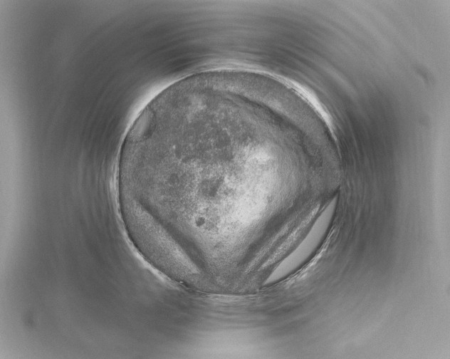 X0000115630863200912011439