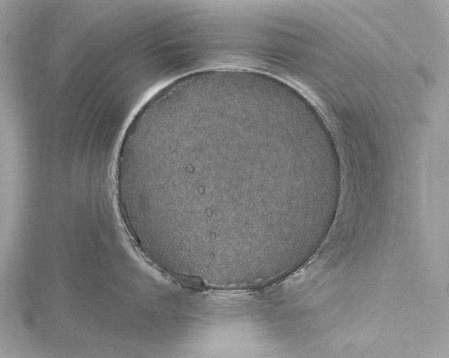 X0000115630864200912011439