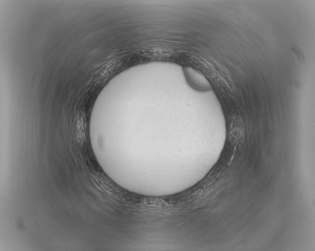 X0000115630866200912011438