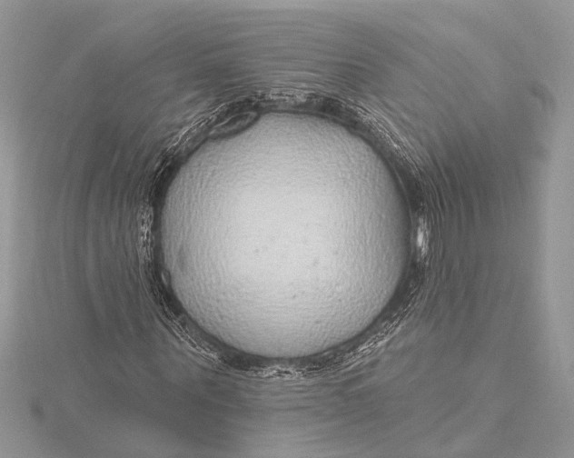 X0000115630867200912011438