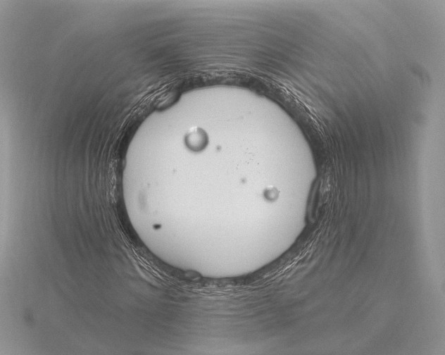 X0000115630868200912011438